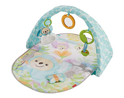 Fisher-Price Butterfly Dreams Musical Playtime Gym [Amazon Exclusive]