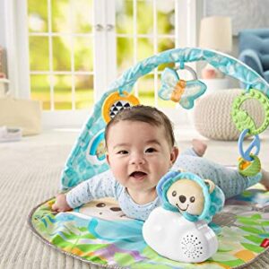 Fisher-Price Butterfly Dreams Musical Playtime Gym [Amazon Exclusive]