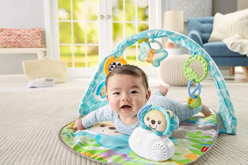 Fisher-Price Butterfly Dreams Musical Playtime Gym [Amazon Exclusive]