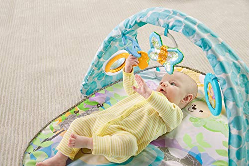 Fisher-Price Butterfly Dreams Musical Playtime Gym [Amazon Exclusive]