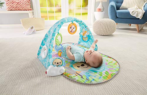 Fisher-Price Butterfly Dreams Musical Playtime Gym [Amazon Exclusive]