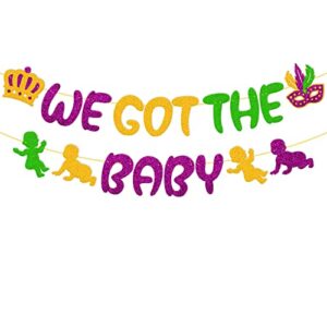we got the baby banner mardi gras baby shower party decorations carnival new orleans masquerade fleur de lis fat tuesday theme gender reveal party supplies