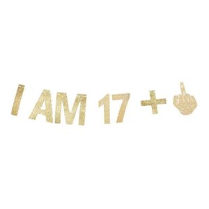 morndew gold gliter i am 17+1 paper banner for 18th birthday party sign backdrops funny/gag 18 bday party wedding anniversary celebration party retirement party decorations