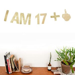 Morndew Gold Gliter I AM 17+1 Paper Banner for 18th Birthday Party Sign Backdrops Funny/Gag 18 Bday Party Wedding Anniversary Celebration Party Retirement Party Decorations