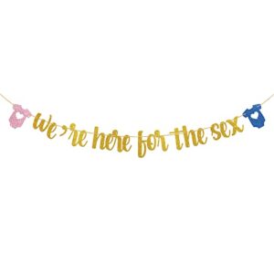t-minimalist we’re here for the sex banner, funny baby gender reveal party decorations, baby shower party hanging decors supplies, gold gliter paper garland / cute baby clothes sign banner 11.7 feet