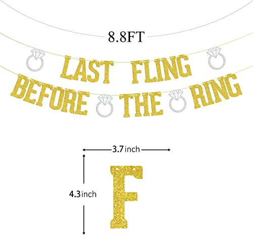 Last Fling Before The Ring Banner Gold & Silver Glitter, Bachelorette Party Decoration Banners, Bachelorette Sign Bachelorette Party Photo Props