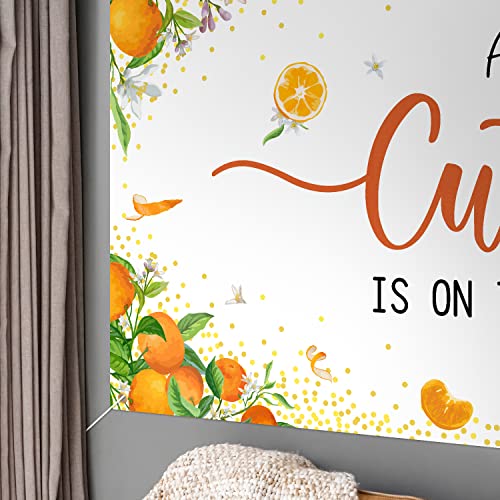 A Little Cutie is on the Way Backdrop Banner Decor White - Orange Baby Shower Party Theme Decorations for Newborn Baby Birthday Supplies, 3.9 x 5.9 ft
