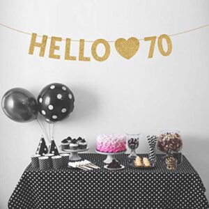 Gold Hello 70 Birthday Banner, Gold Glitter Happy 70th Birthday Party Decorations, Supplies