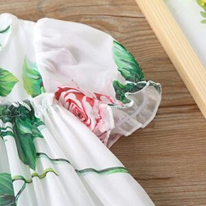 AGQT Infant Baby Girls Flower Print Dress Puff Sleeve Ruffle Floral A-line Birthday Spring Beach Sundress Clothes Outfit White Size 3-6 Months