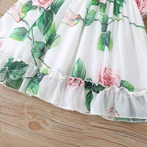 AGQT Infant Baby Girls Flower Print Dress Puff Sleeve Ruffle Floral A-line Birthday Spring Beach Sundress Clothes Outfit White Size 3-6 Months