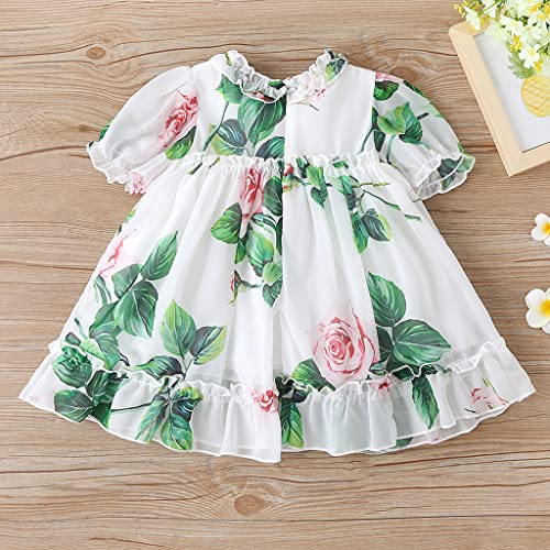 AGQT Infant Baby Girls Flower Print Dress Puff Sleeve Ruffle Floral A-line Birthday Spring Beach Sundress Clothes Outfit White Size 3-6 Months