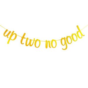 up two no good banner for 2nd birthday anniversary party decorations gold glitter