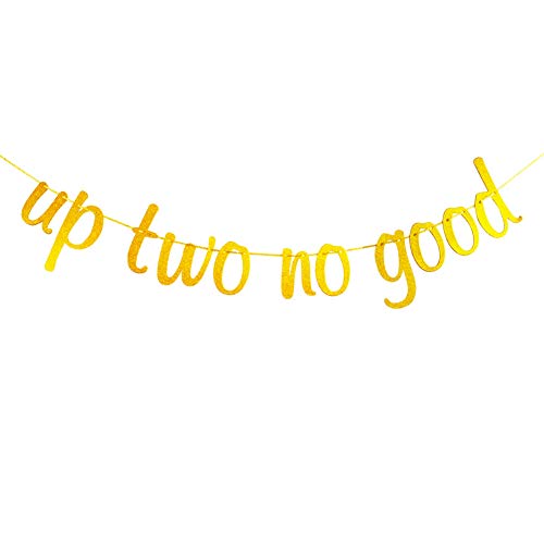 Up Two No Good Banner for 2nd Birthday Anniversary Party Decorations Gold Glitter