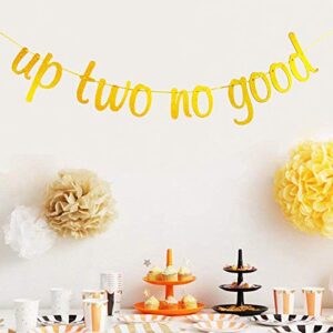 Up Two No Good Banner for 2nd Birthday Anniversary Party Decorations Gold Glitter