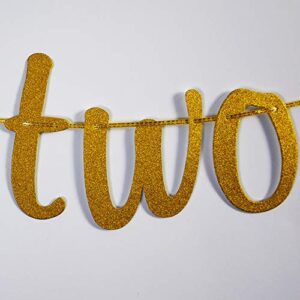 Up Two No Good Banner for 2nd Birthday Anniversary Party Decorations Gold Glitter