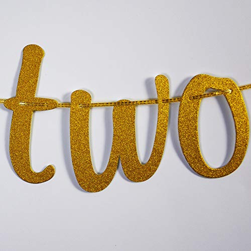 Up Two No Good Banner for 2nd Birthday Anniversary Party Decorations Gold Glitter