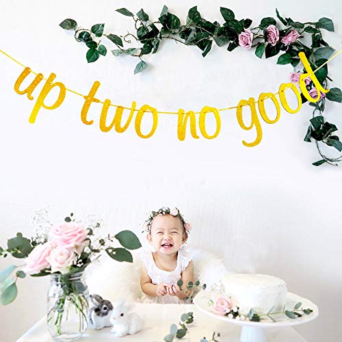 Up Two No Good Banner for 2nd Birthday Anniversary Party Decorations Gold Glitter