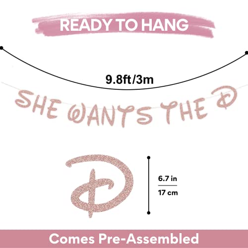 Party101 Rose Gold Glitter She Wants the D Bachelorette Decorations - Disney Themed Bachelorette Banner - Bachelorette Party Decorations Naughty - Hen & Bridal Party Sign, Decor, Favors & Supplies