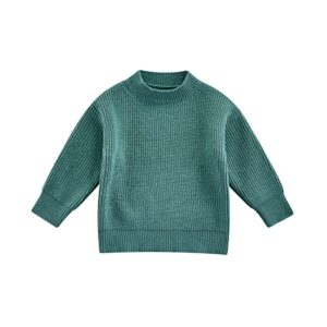 toddler baby knit sweater kids boy girl solid color long sleeve basic pollover top fall winter warm clothes（d-green,12-24 months