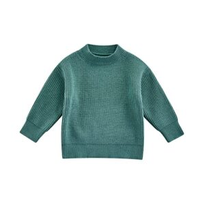 Toddler Baby Knit Sweater Kids Boy Girl Solid Color Long Sleeve Basic Pollover Top Fall Winter Warm Clothes（D-Green,12-24 Months