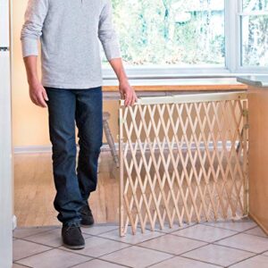 Evenflo Expansion Walk Thru Room Divider Gate