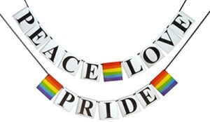 peace, love, pride banner – gay pride flag themed, rainbow colored – gay, lesbian, lgbt party decoration