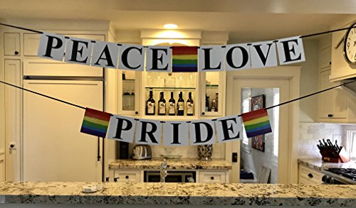 Peace, Love, Pride Banner - Gay Pride Flag Themed, Rainbow Colored - Gay, Lesbian, LGBT Party Decoration