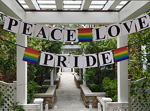 Peace, Love, Pride Banner - Gay Pride Flag Themed, Rainbow Colored - Gay, Lesbian, LGBT Party Decoration