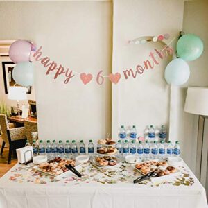 Rose Gold Glitter Happy 6 months Banner, Half Way to One Bunting Garlands, Happy 1/2 Birthday/Anniversary Party Decoration Supplies