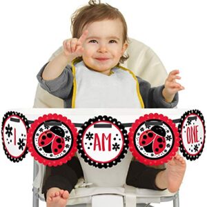 Big Dot of Happiness Happy Little Ladybug 1rst Birthday Highchair Decor - I Am One - First Birthday High Chair Banner