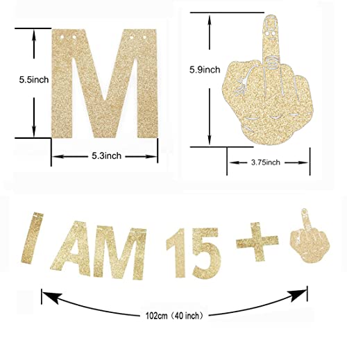 Morndew Gold Gliter I AM 15+1 Paper Banner for 16th Birthday Party Sign Backdrops Funny/Gag 16 Bday Party Wedding Anniversary Celebration Party Retirement Party Decorations