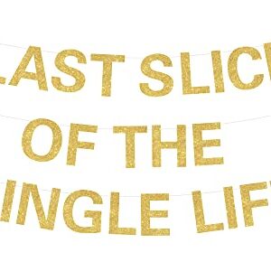 Pizza Bachelorette Party Decorations, Last Slice Of The Single Life Banner Gold Glitter for Pizza Party Time Bridal Shower Supplies