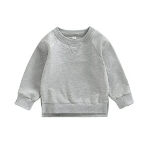 Gueuusu Toddler Kids Baby Boy Girl Crewneck Sweatshirt Cotton Long Sleeve Solid Color Pullover Top Casual Spring Fall Clothes (Light Gray , 6-12 Months )