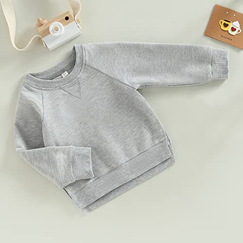 Gueuusu Toddler Kids Baby Boy Girl Crewneck Sweatshirt Cotton Long Sleeve Solid Color Pullover Top Casual Spring Fall Clothes (Light Gray , 6-12 Months )