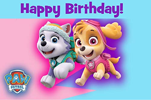 Next Day Shipping 3x5 feet Girl Paw Patrol Vinyl banner