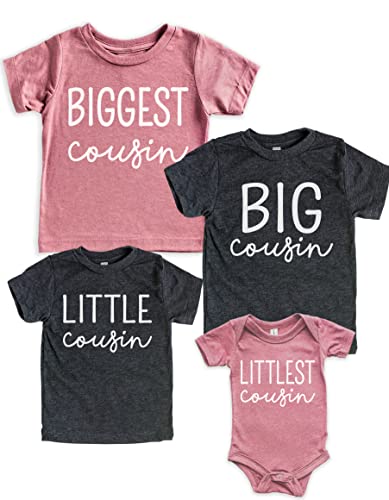 Teeny Fox Big Little Cousin Crew Shirts Biggest Littlest Tee Toddler T-Shirt Baby Bodysuit Set for Family Matching Outfit