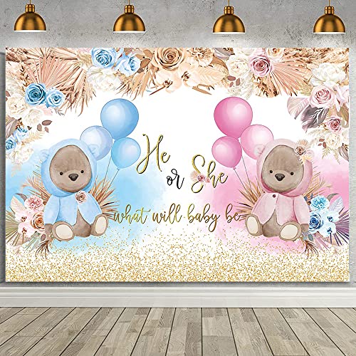 AIBIIN Boho Bear Gender Reveal Backdrop Boho Baby Shower Gender Reveal Party Decorations Banner He or She What Will Baby Be Photo Background Pink and Blue Pampas Grass Gender Reveal Banner Vinyl 7x5ft