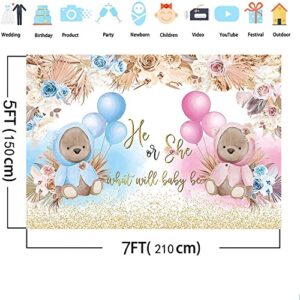 AIBIIN Boho Bear Gender Reveal Backdrop Boho Baby Shower Gender Reveal Party Decorations Banner He or She What Will Baby Be Photo Background Pink and Blue Pampas Grass Gender Reveal Banner Vinyl 7x5ft