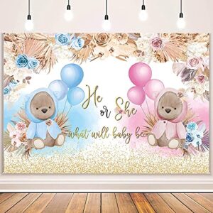 AIBIIN Boho Bear Gender Reveal Backdrop Boho Baby Shower Gender Reveal Party Decorations Banner He or She What Will Baby Be Photo Background Pink and Blue Pampas Grass Gender Reveal Banner Vinyl 7x5ft