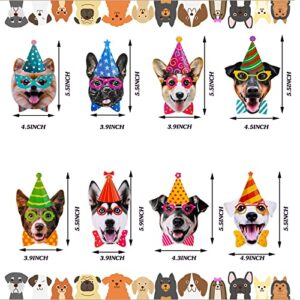 12 Pcs Dog Party Decorations Paw Prints Party Banner for Dog Party Puppy Paw Party Dog Birthday Party Decoration Dog Paw Prints Banners Garlands for Dog Paw Prints Party Pet Dog Birthday Party