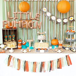 Little Pumpkin 16" Letter balloons Banner Champagne Gold Birthday Banners First Birthday Baby Shower Photo Prop Garland Banners Decor