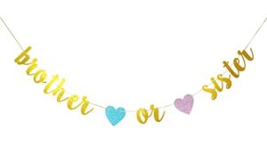 swdthnh gender reveal party decorations – glitter letters brother or sister with hearts banner for baby shower party decorations, gold