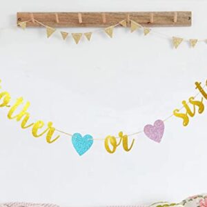 Swdthnh Gender Reveal Party Decorations - Glitter Letters Brother or Sister with Hearts Banner for Baby Shower Party Decorations, Gold