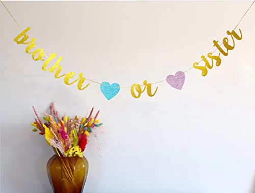 Swdthnh Gender Reveal Party Decorations - Glitter Letters Brother or Sister with Hearts Banner for Baby Shower Party Decorations, Gold