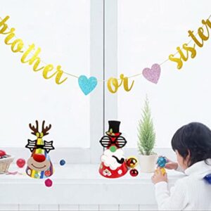 Swdthnh Gender Reveal Party Decorations - Glitter Letters Brother or Sister with Hearts Banner for Baby Shower Party Decorations, Gold