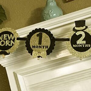 Zocakee Mr Onederful Birthday Decorations,First Year Monthly Photo Banner, Baby Shower Picture Banner