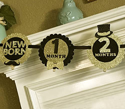 Zocakee Mr Onederful Birthday Decorations,First Year Monthly Photo Banner, Baby Shower Picture Banner