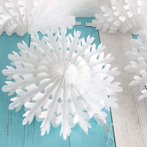 Winter Wonderland Snowflake Frozen Party Decorations Kit with Snowflakes Garland Bunting Banner Hanging Tissue Paper Fan Lantern for Birthday Holiday Wedding Décor Christmas Decorations Clearance