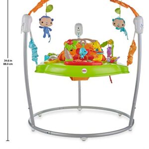 Fisher-Price Jumperoo: Tiger Time