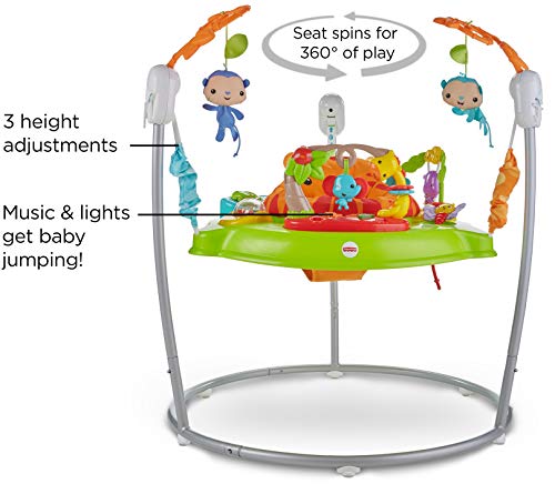 Fisher-Price Jumperoo: Tiger Time